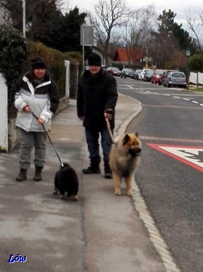 29.3.2018 - Dwix und Howie unterwegs